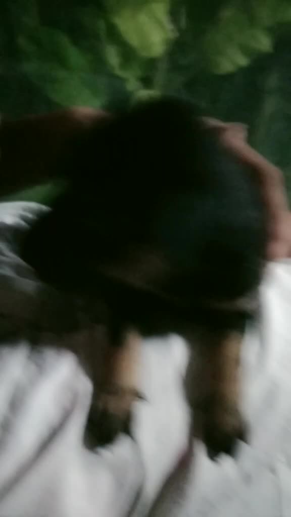 @lachushivanya