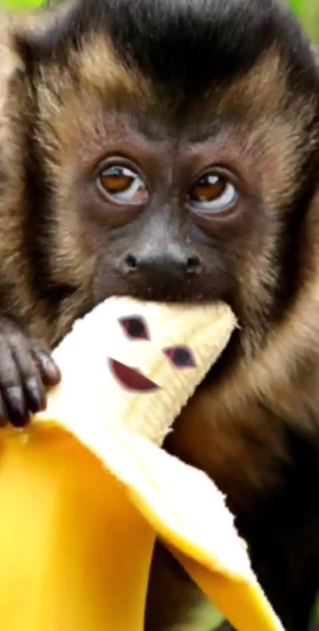 @BlissyThe3nigma