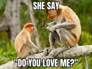 @android 17 18 and 21 so cute