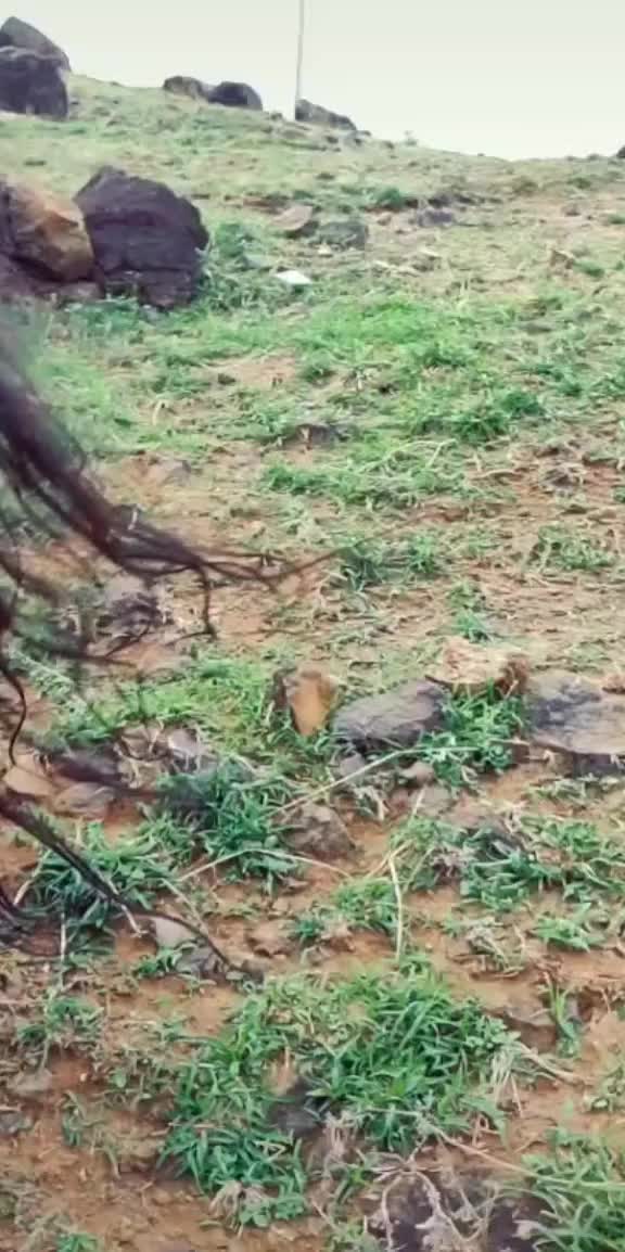 @Priya rajpurohit0599