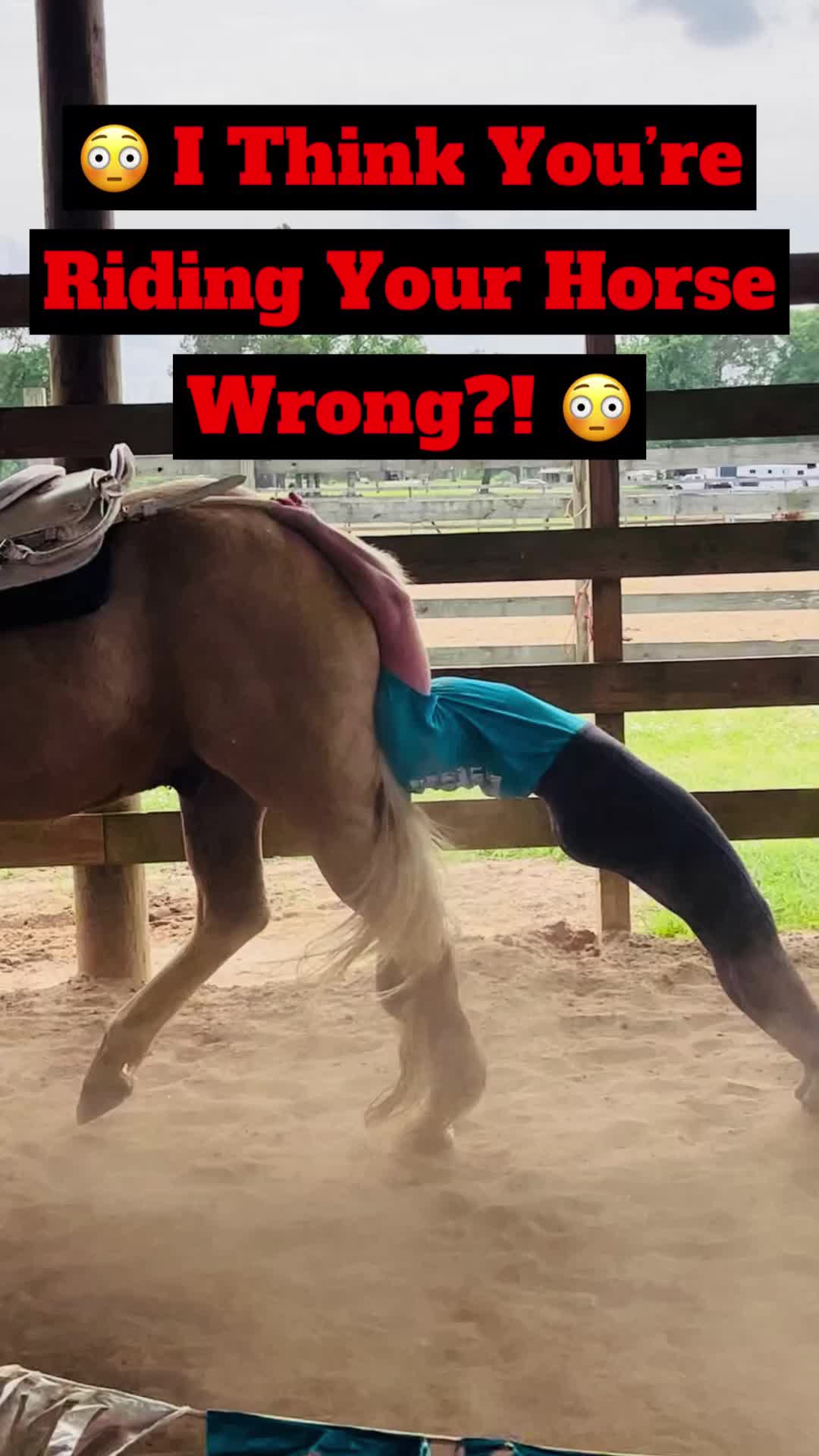 @Horse Help