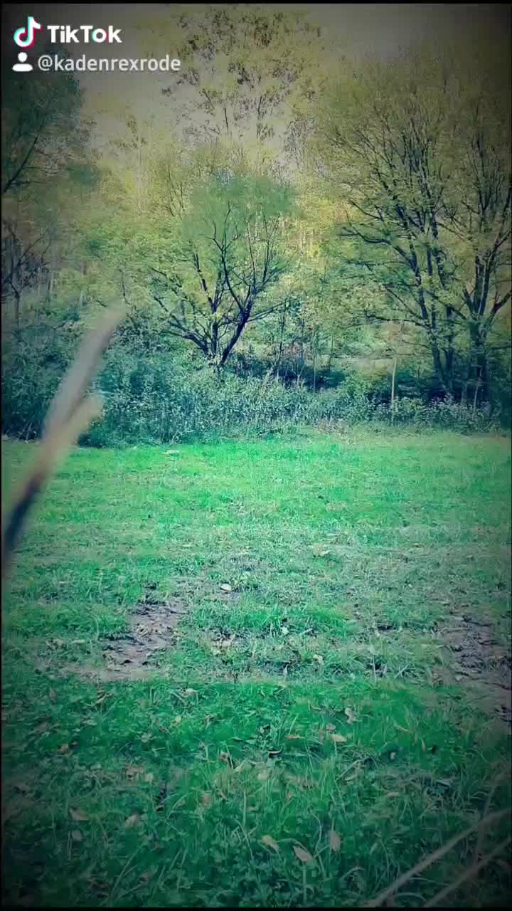 @Kaden Rexrode