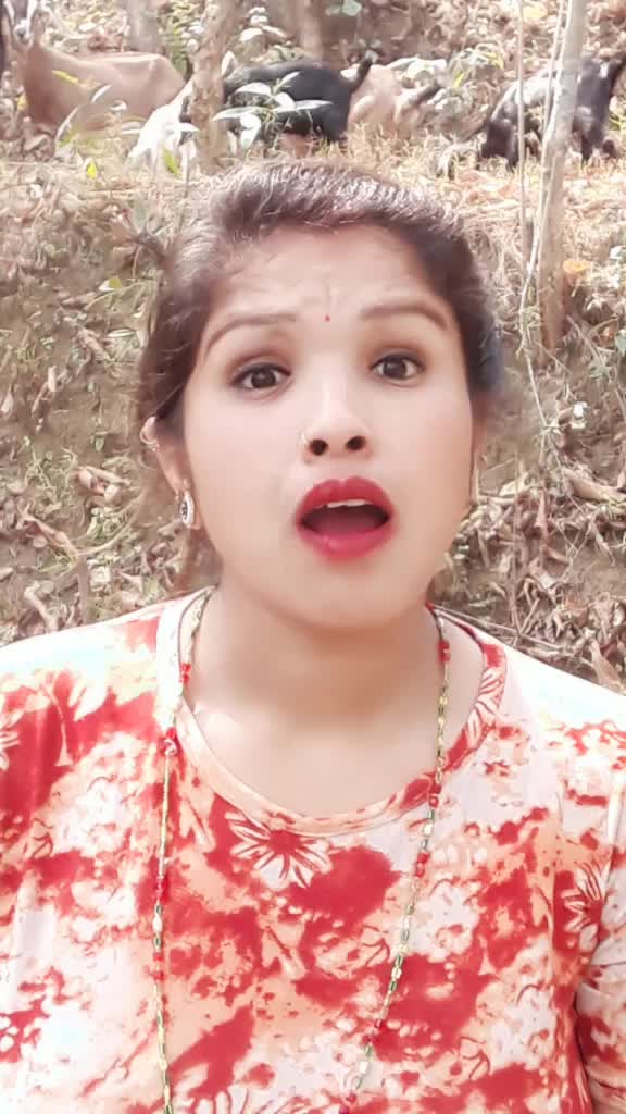 @saru paudel