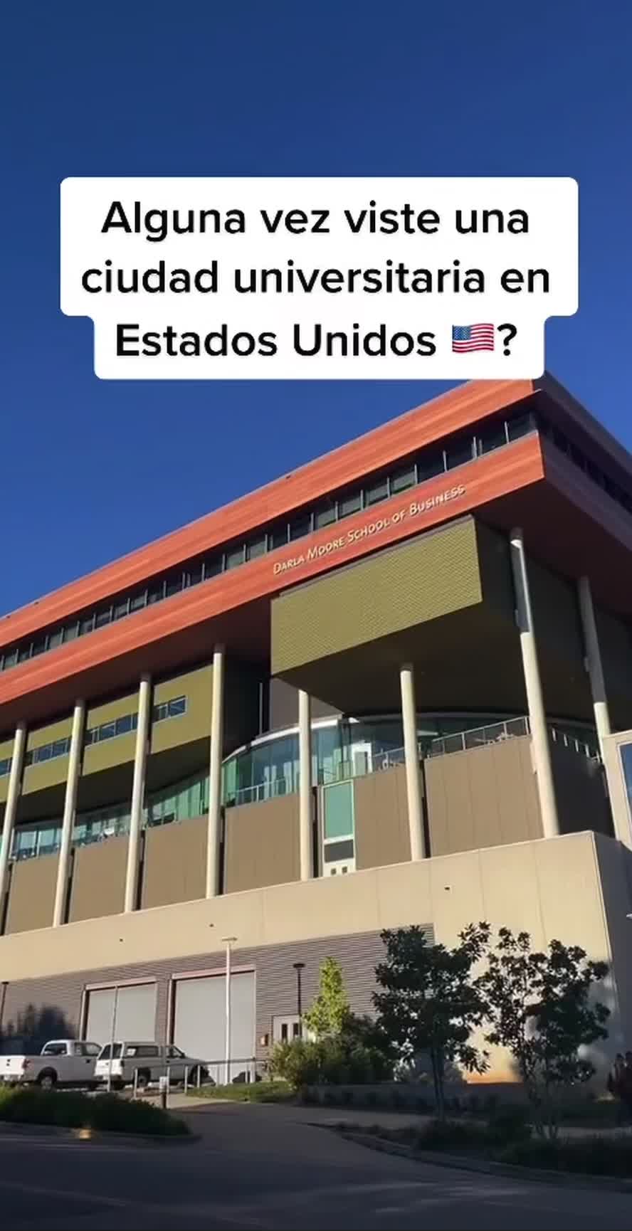 @Panchi Reynoso ⚡️