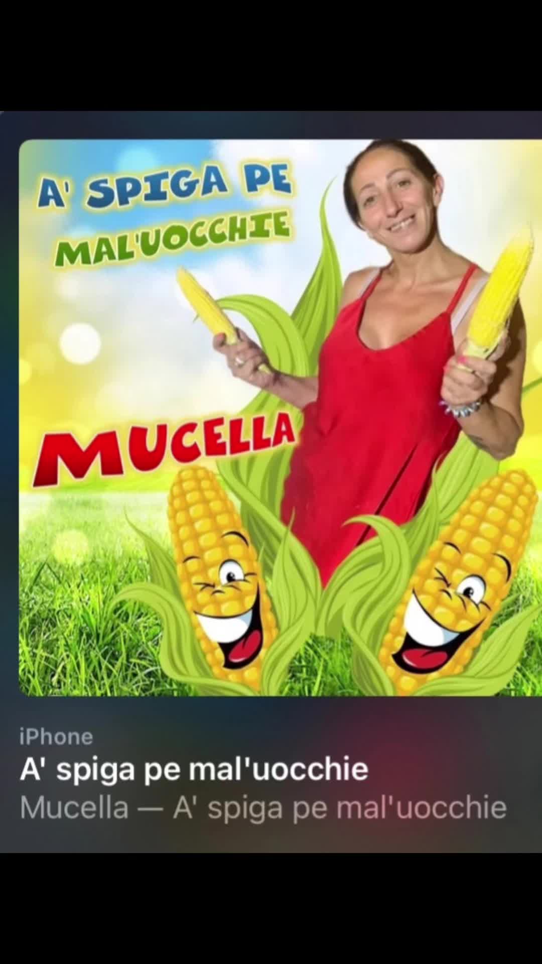 @MucellaSpigheNuovo