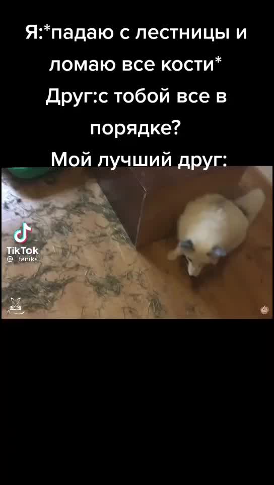 @Я расист