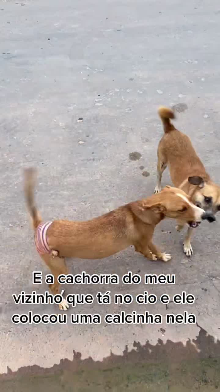 @Josiane Vieira