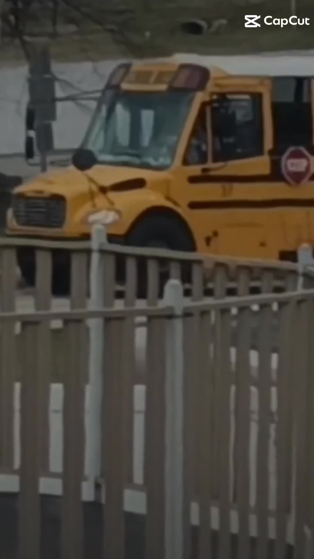 @Shy bus#37 Love you Ms. kellie