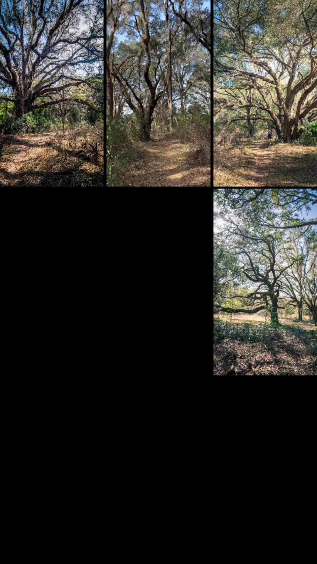 @billy.hikes
