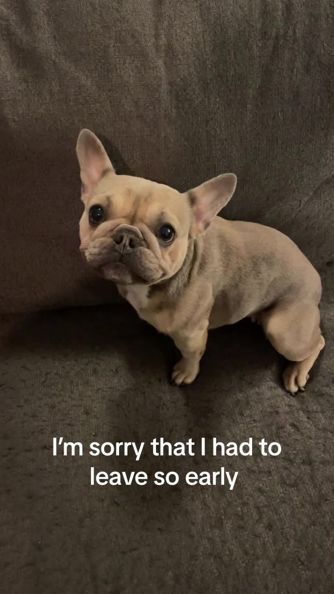 @keira