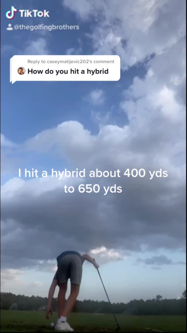 @thewynta