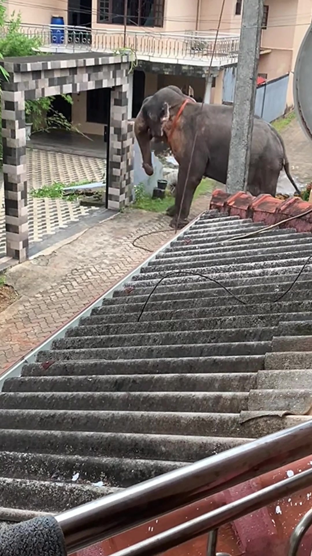 @TikTok Sri lanka