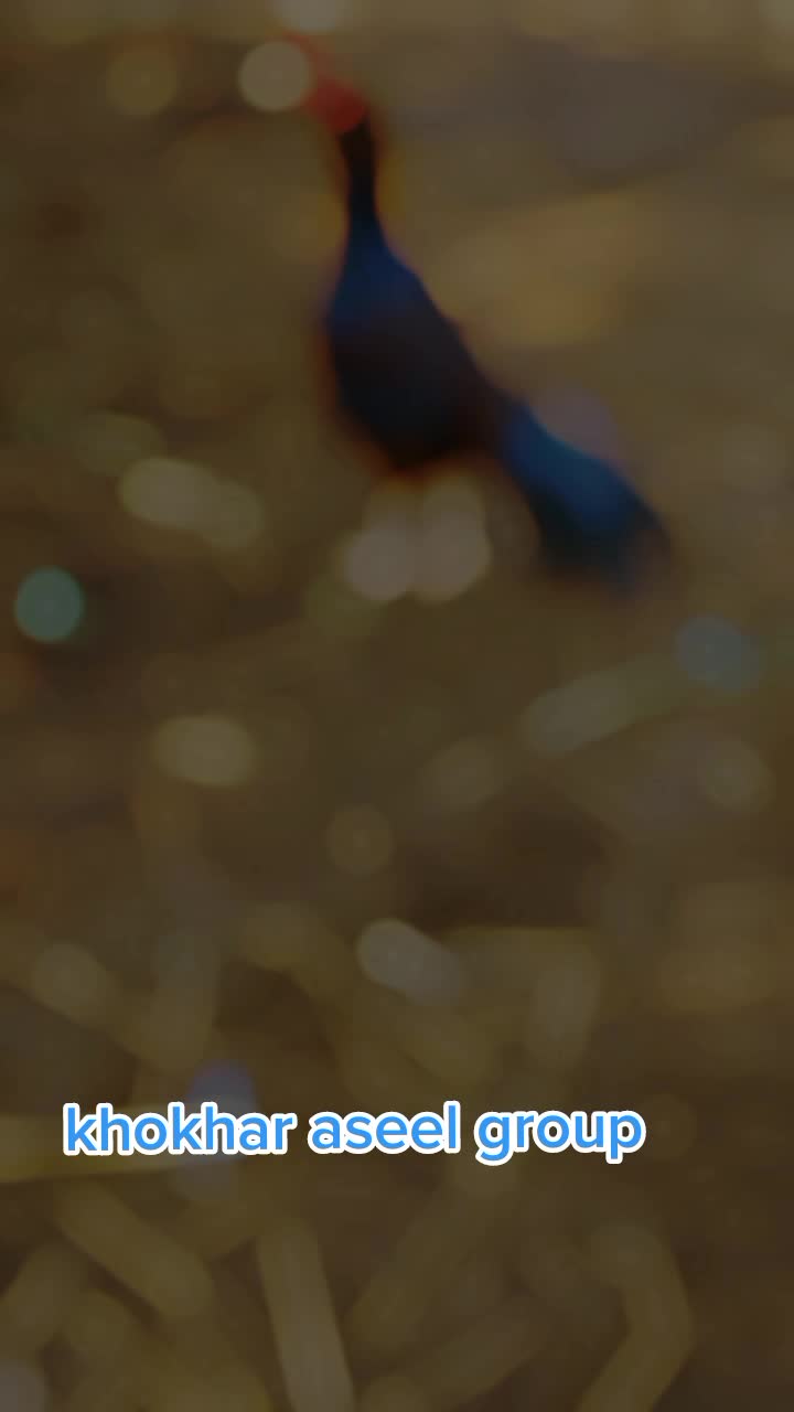 @malikqamarmalik85
