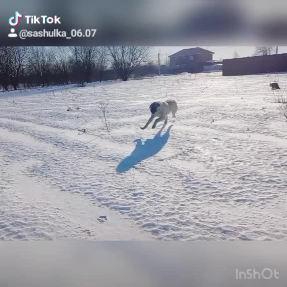 @Сашуля Милашка