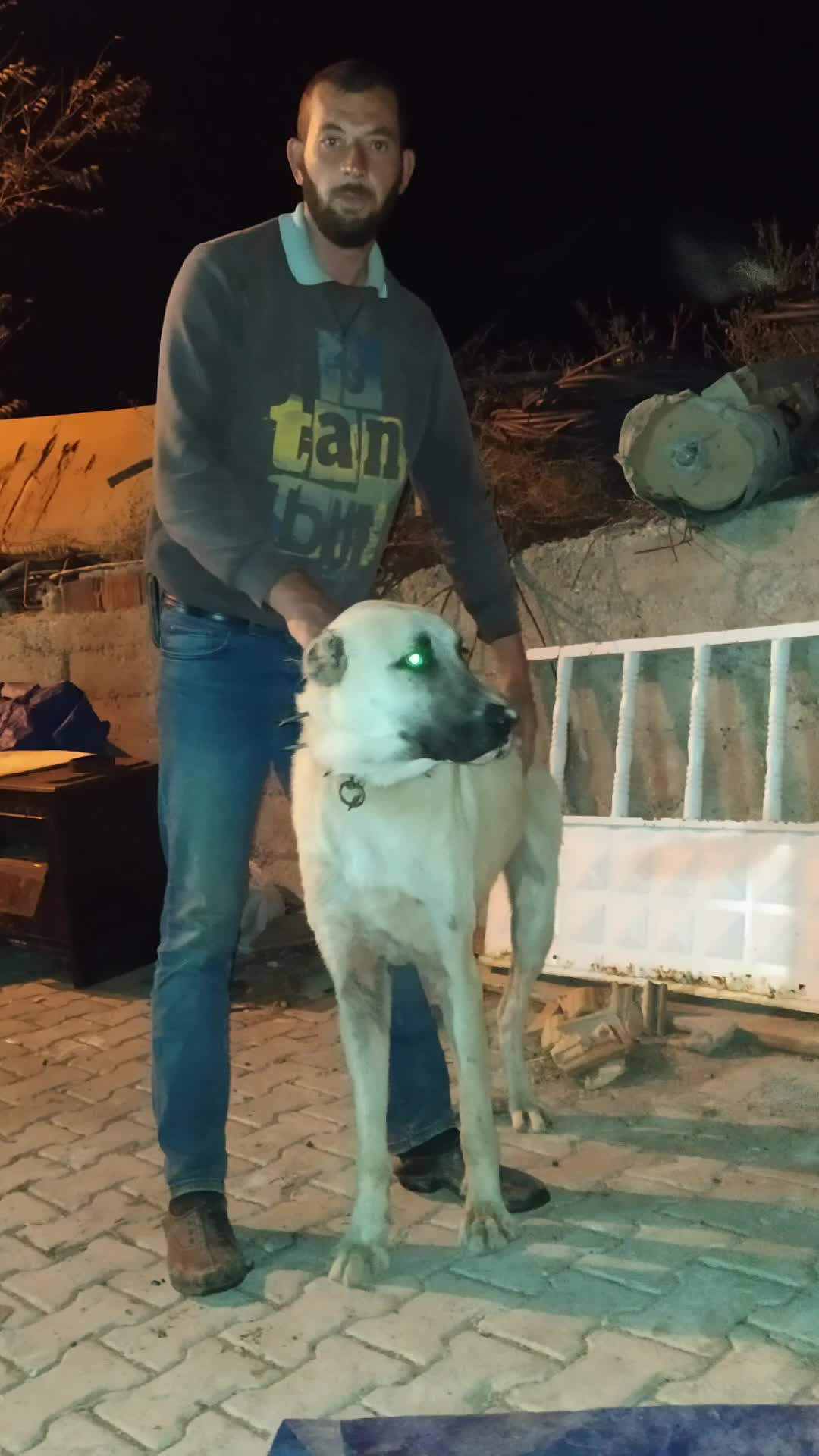 @Bilal ayan