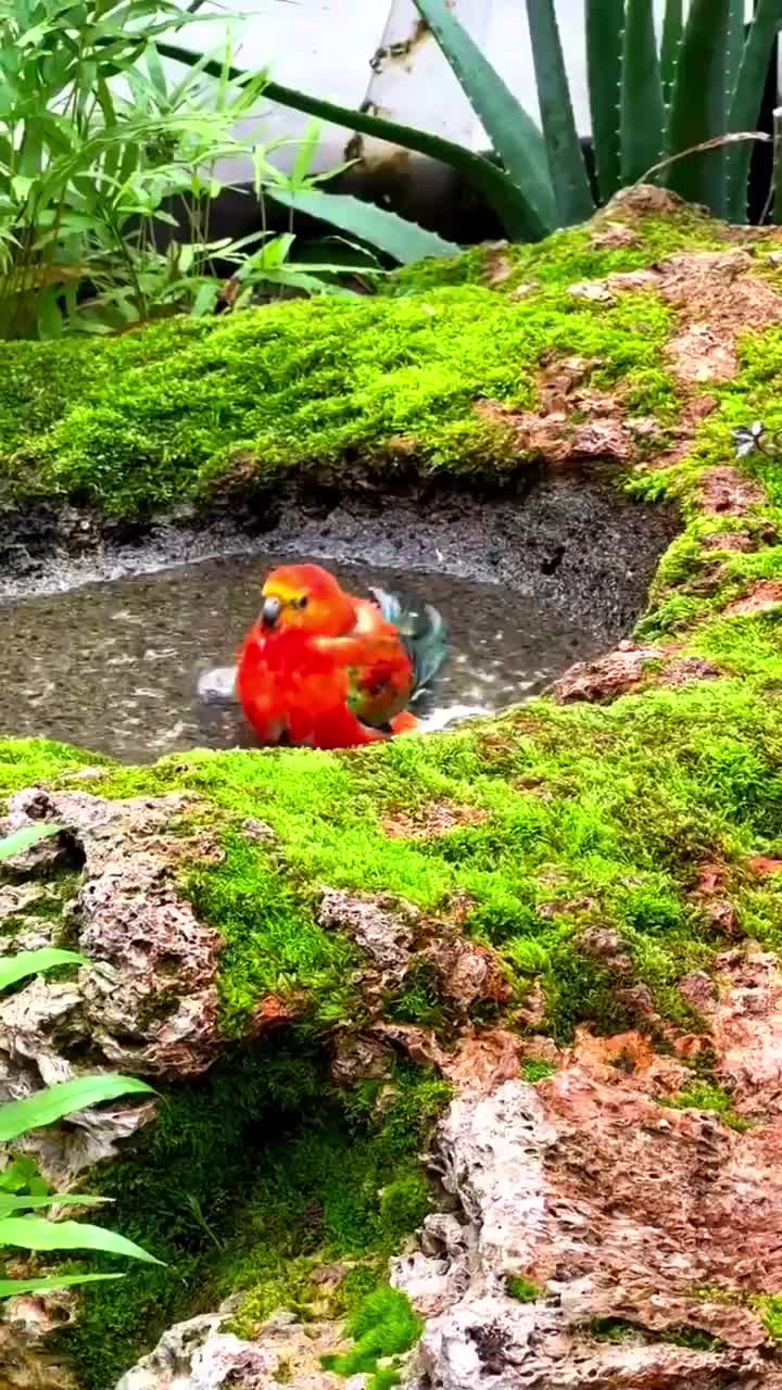 @user11009811448656