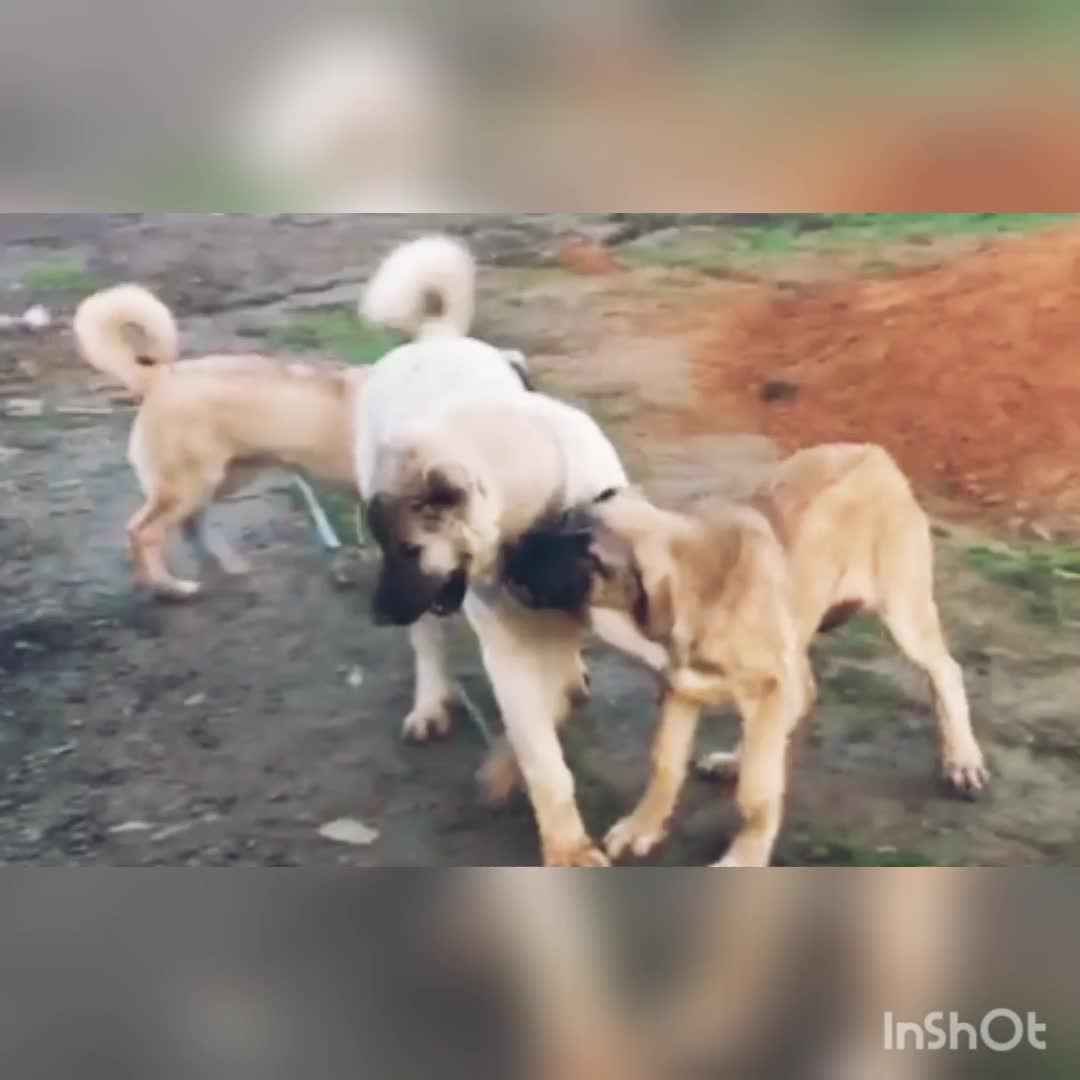 @Сашуля Милашка