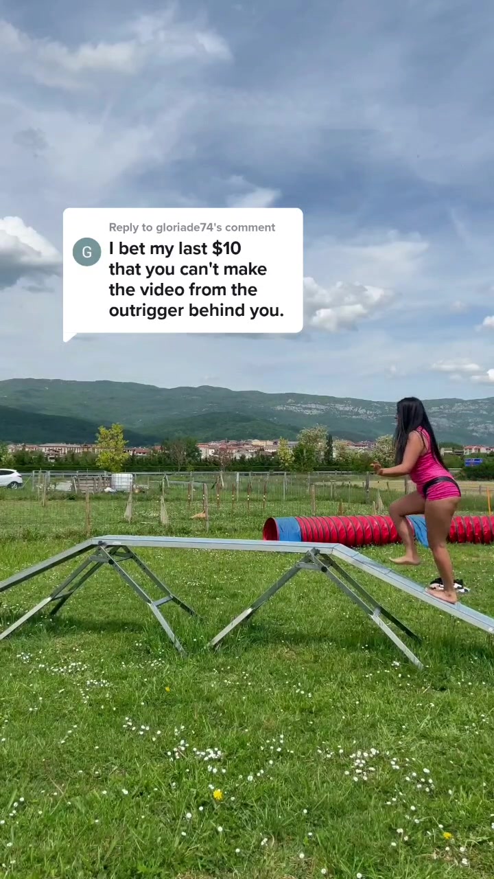 @krisyourdogtrainer