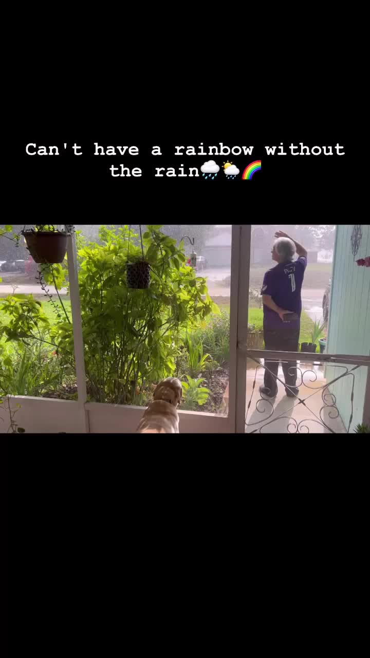 @gigischwartz