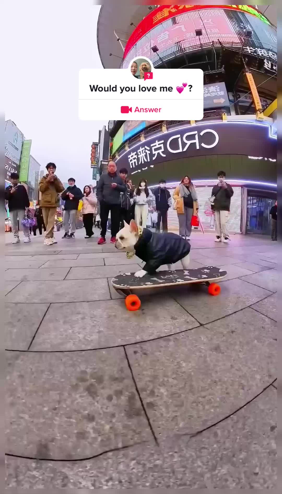@gofrenobh5f
