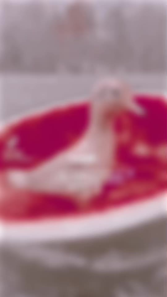 @💗