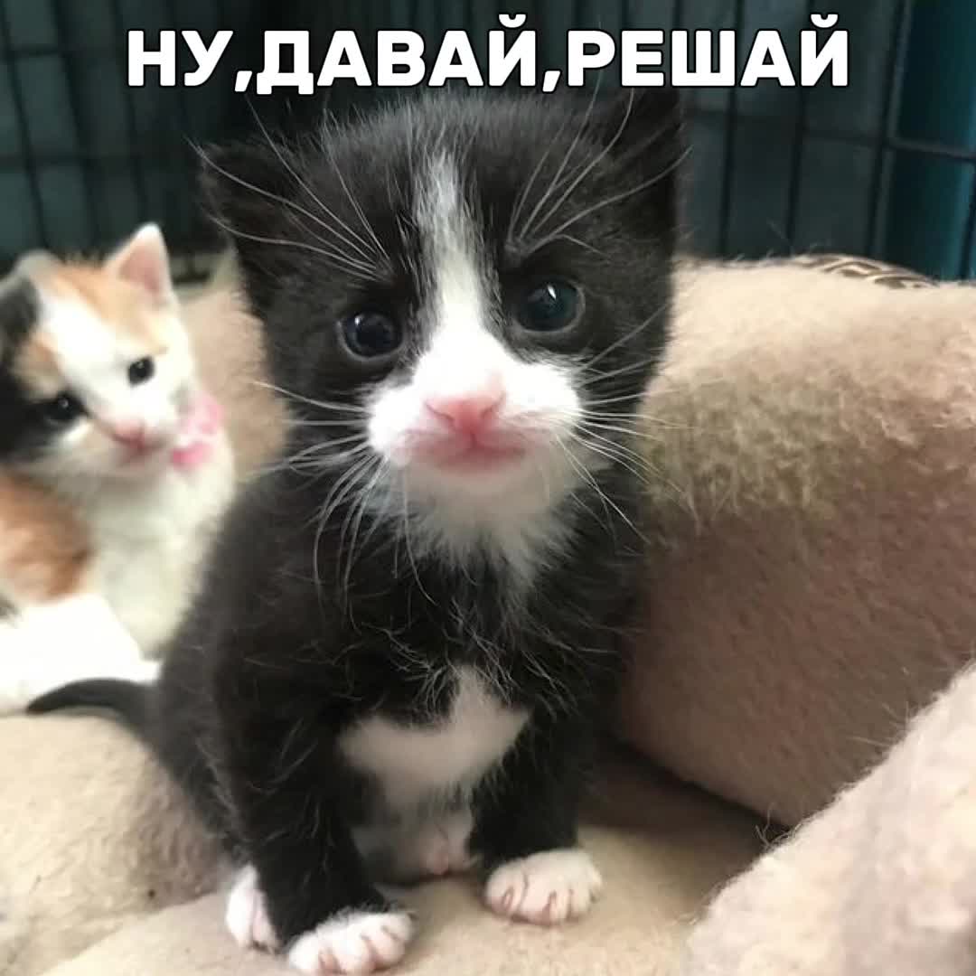 @ᶻ 𝘇 𝓵𝓲𝓼𝔀𝓮𝓷 🩹