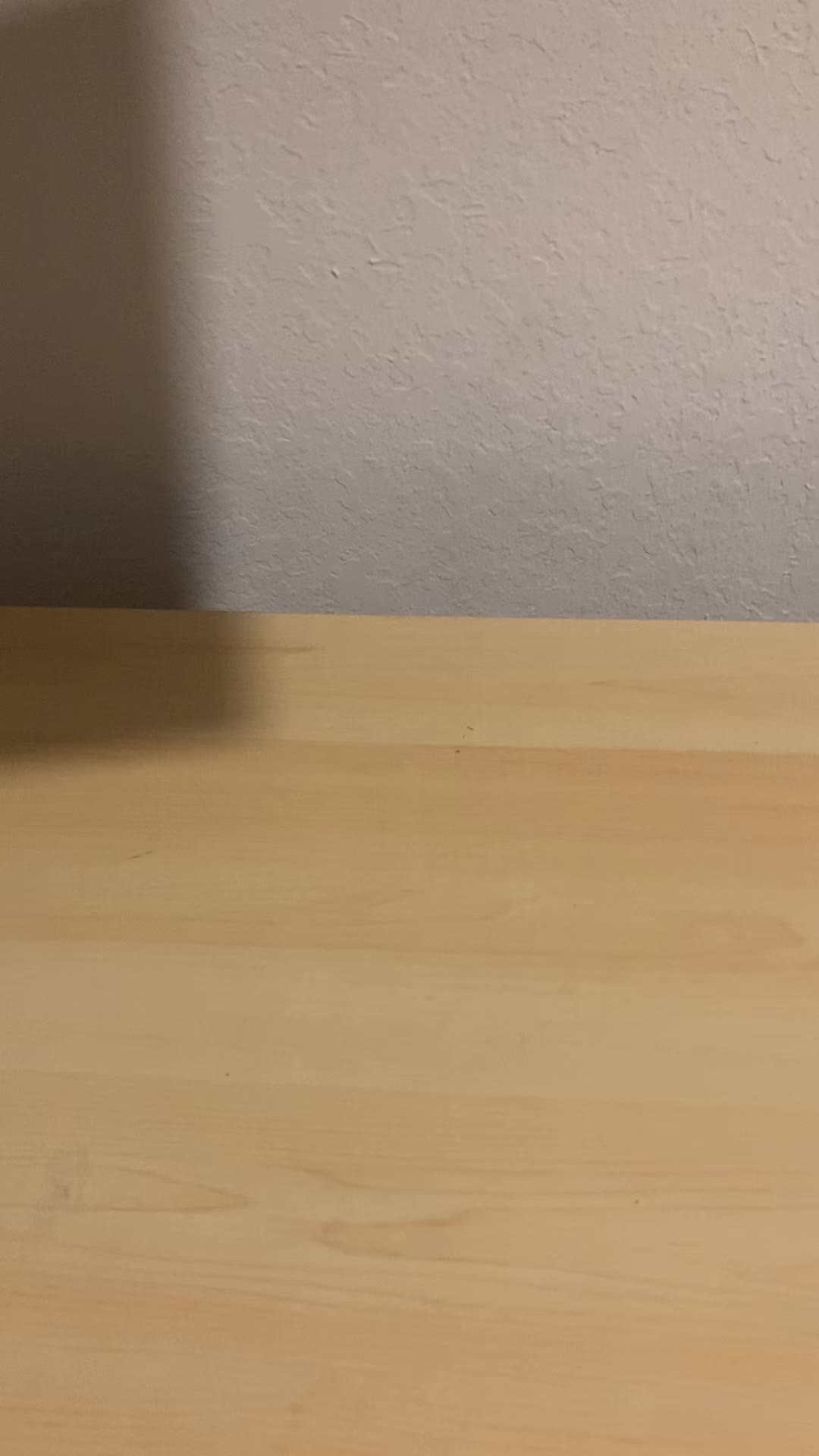 @FnafBruh46