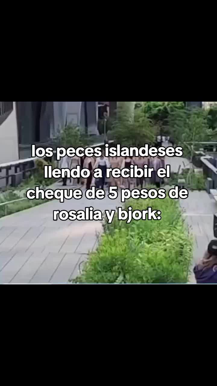 @salvador