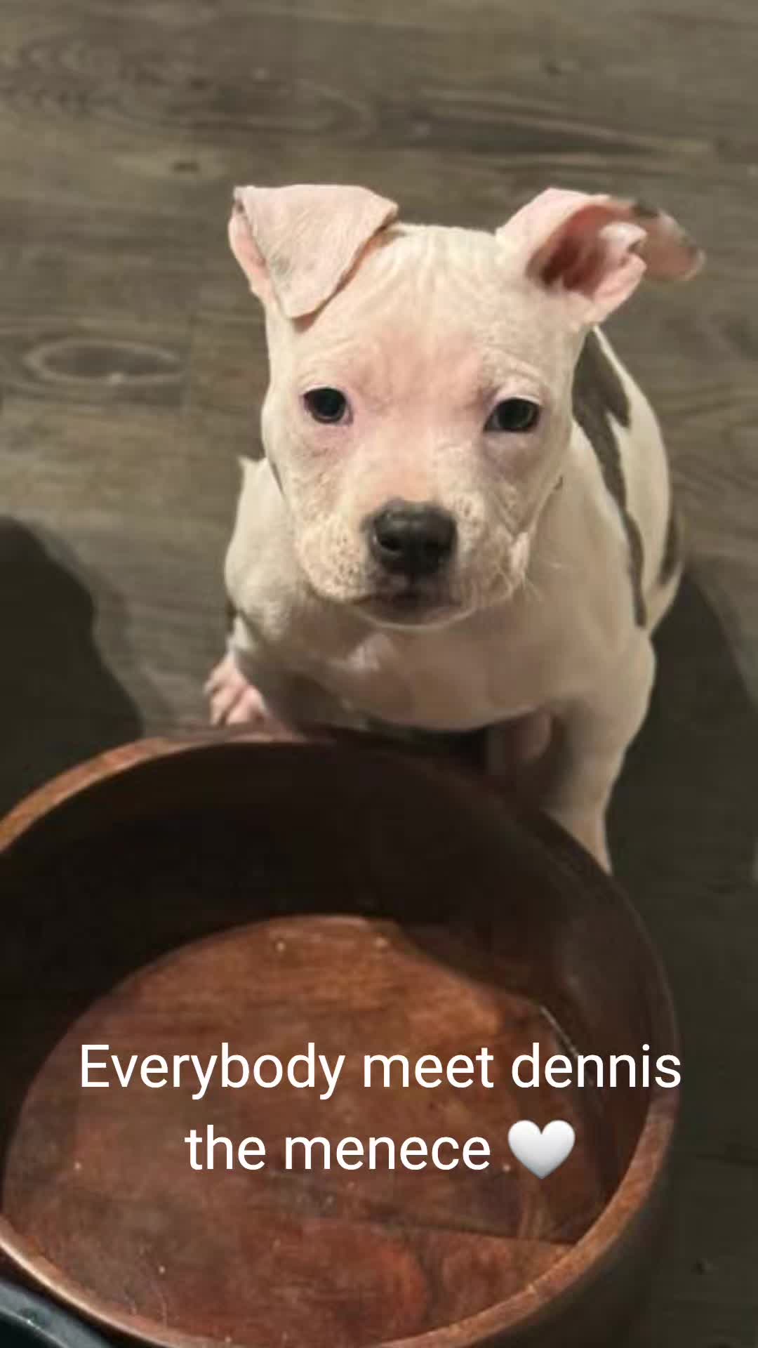 @🥩beater