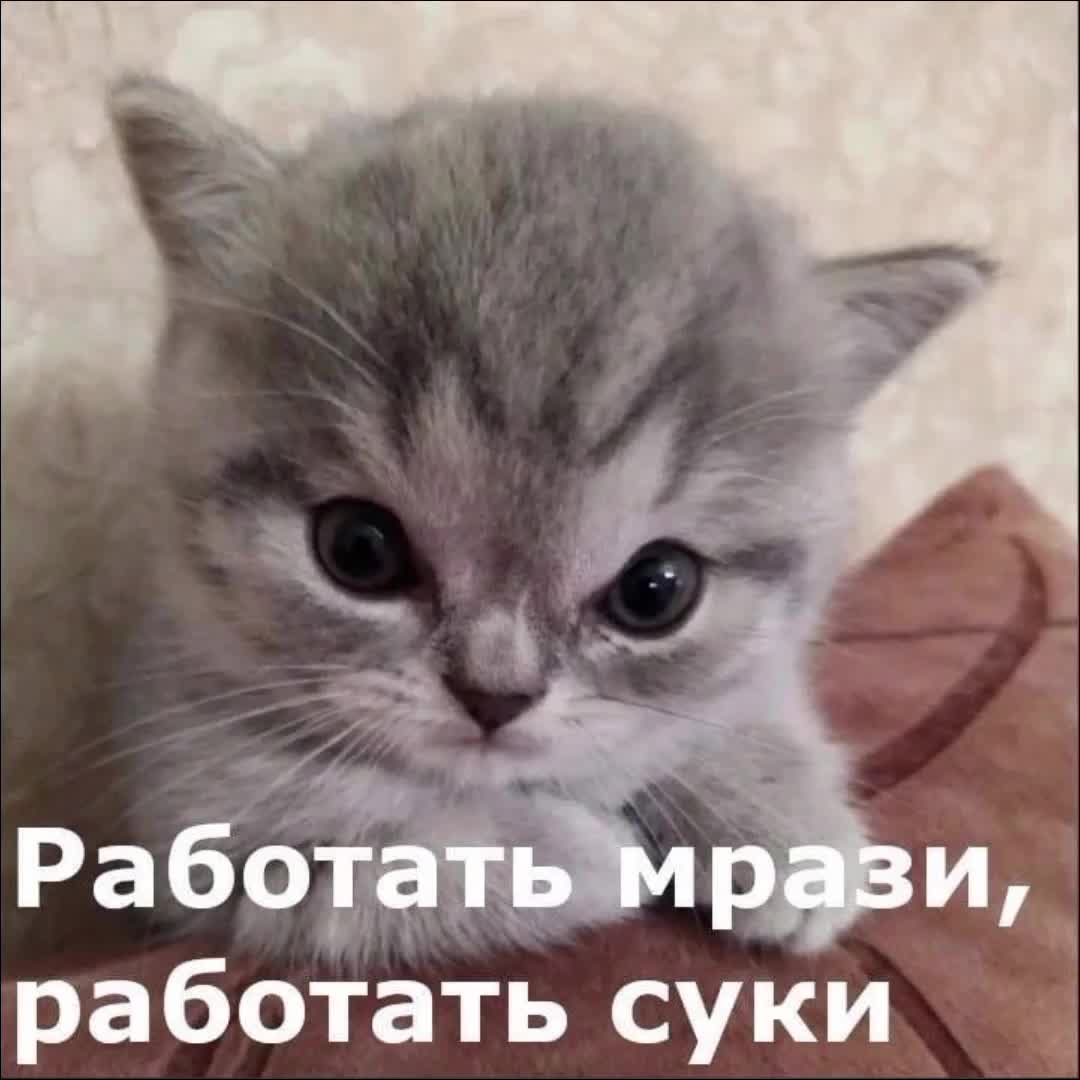 @хло́пок