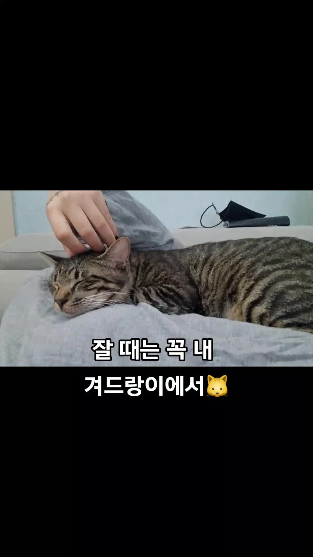 @우디 무하