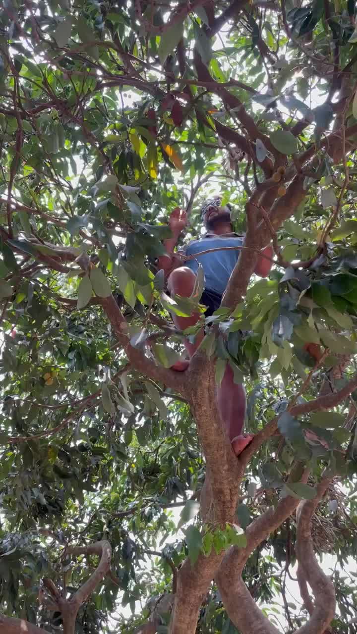 @legendspiritbadal11