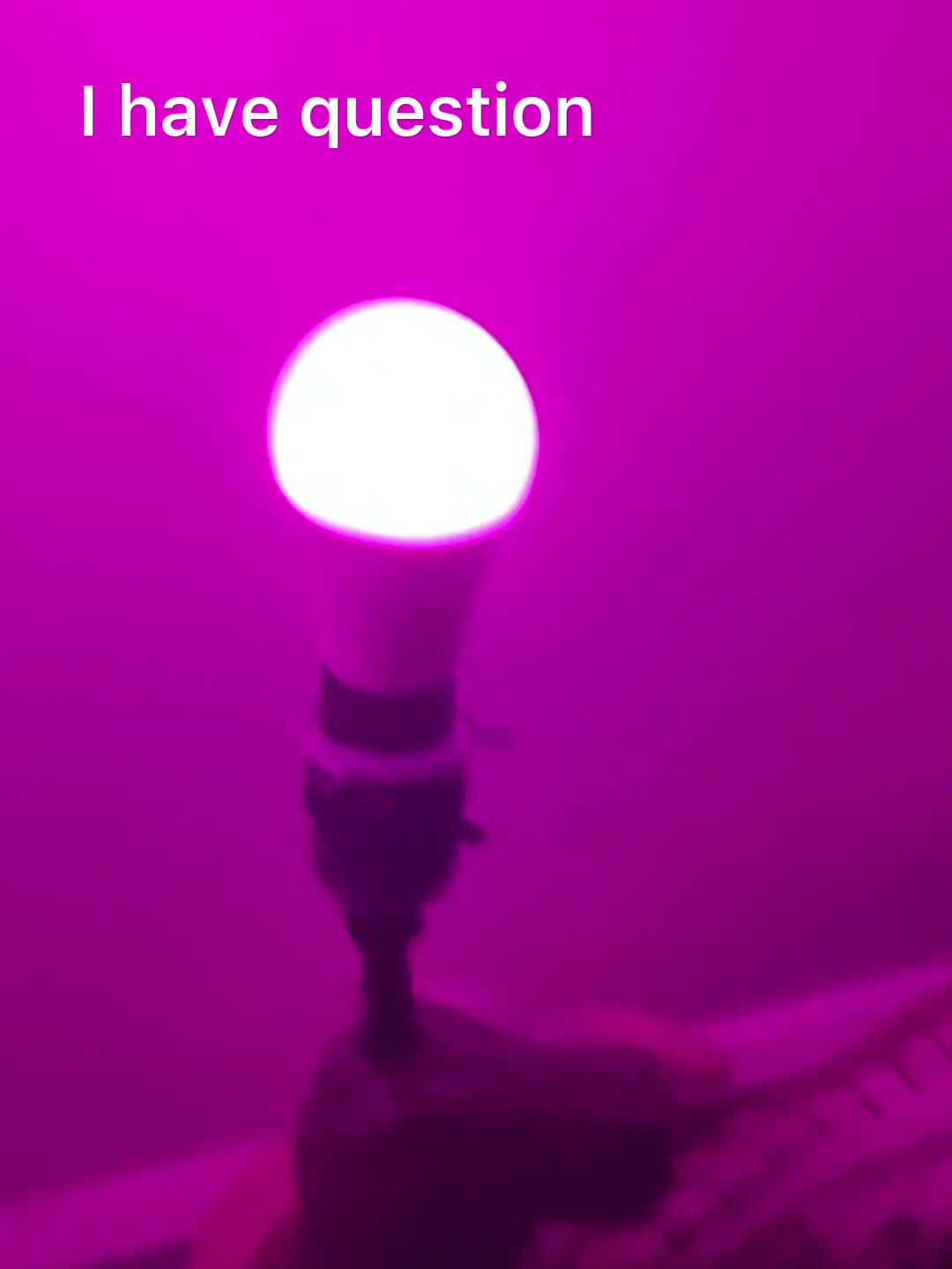 @Vęńt