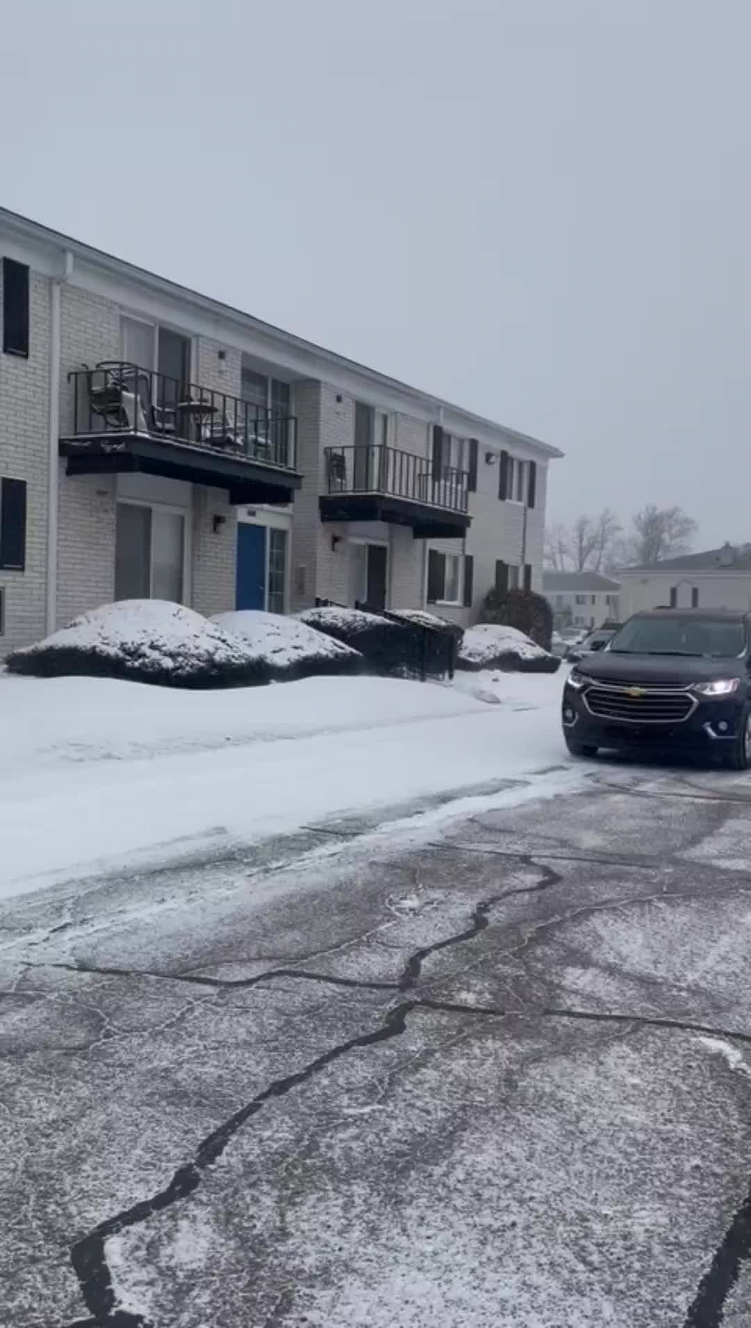 @Miri Detroit