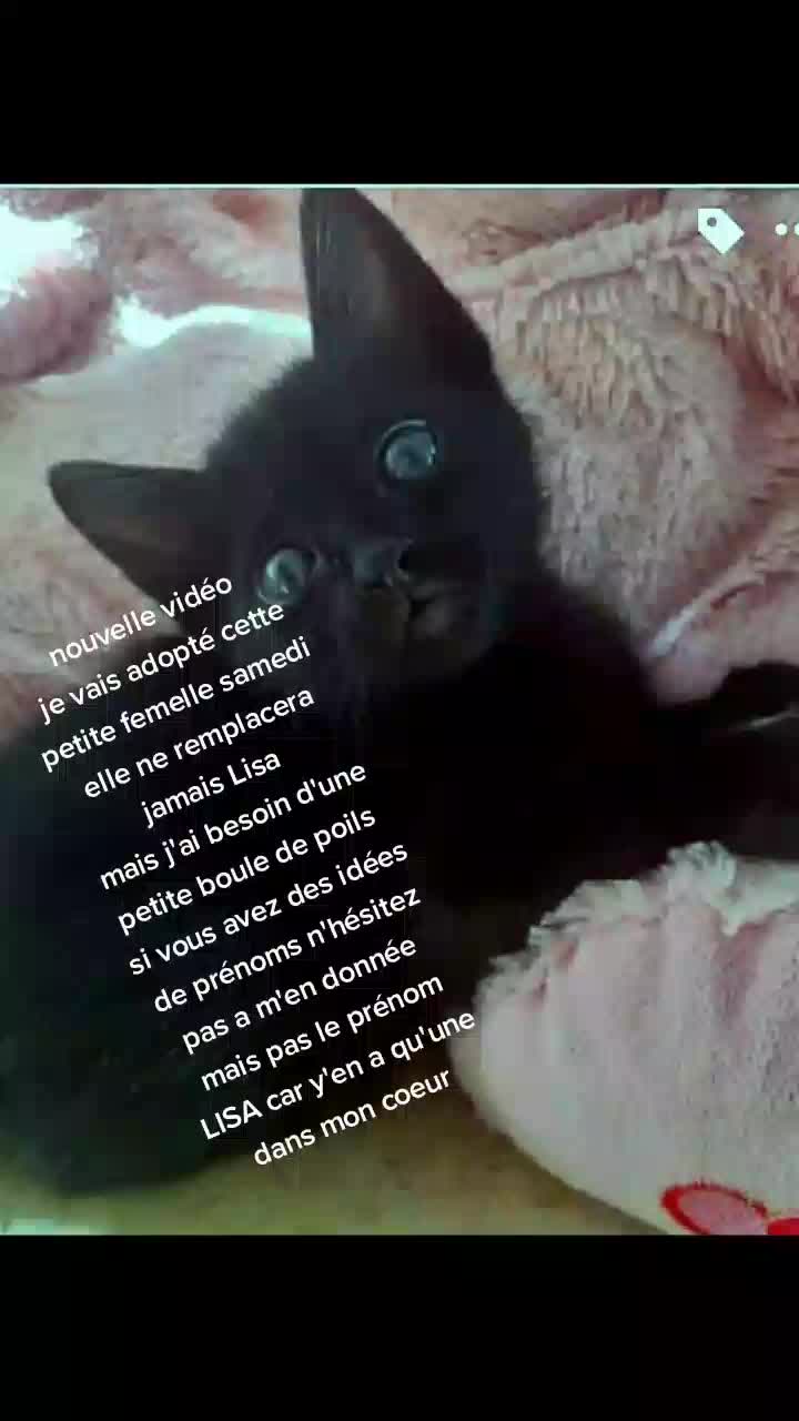 @Lisa ❤❤