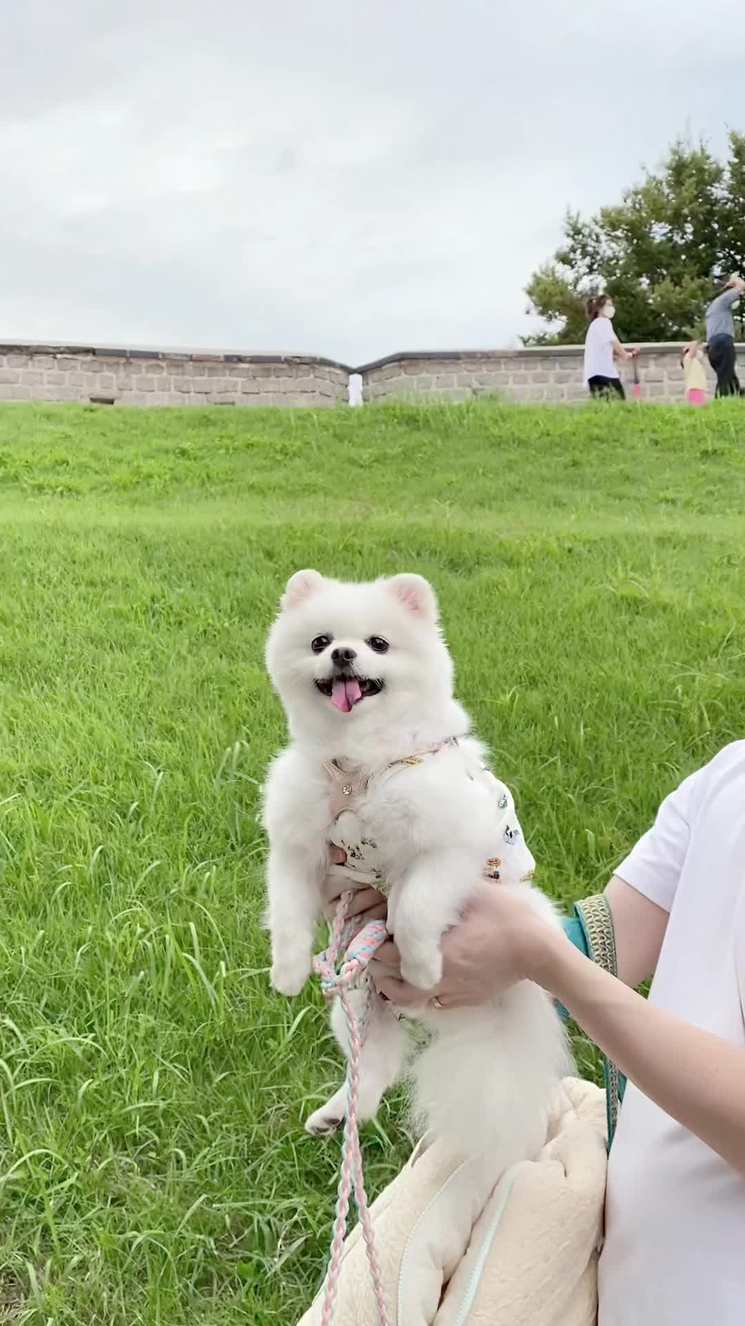 @권하리