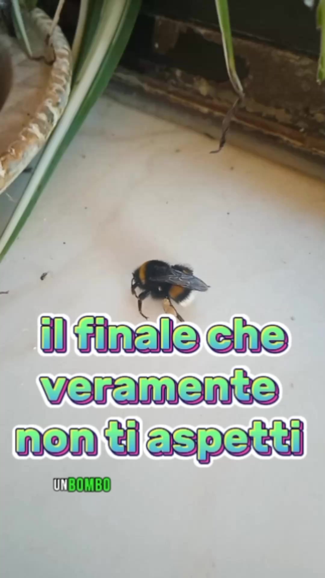 @Il giardiniere felice