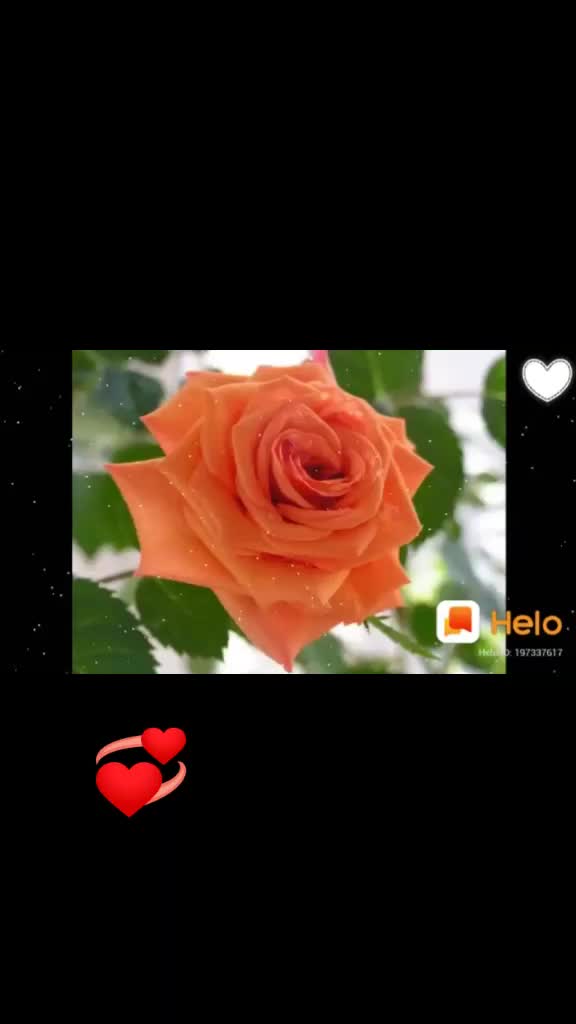 @Latika parab
