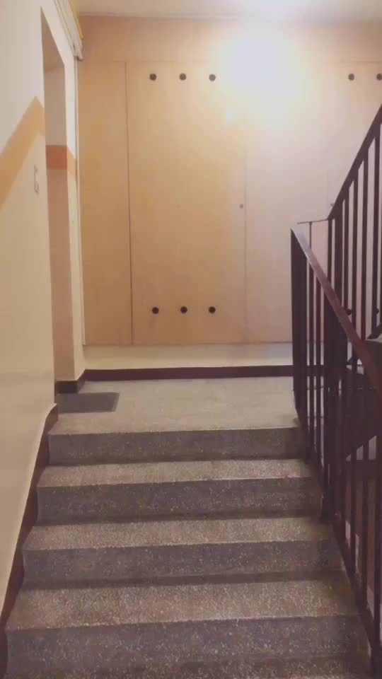 @bosakjunior