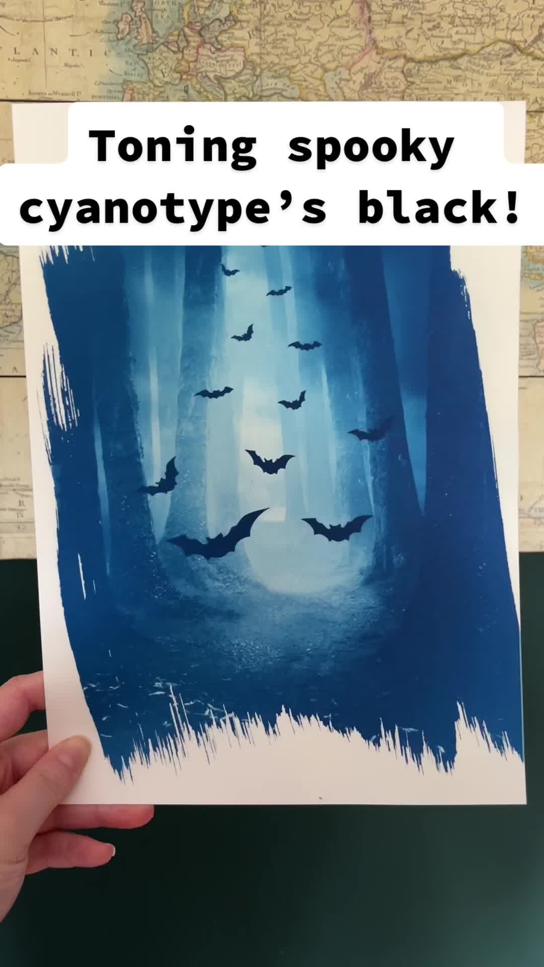 @ObscuraCollective
