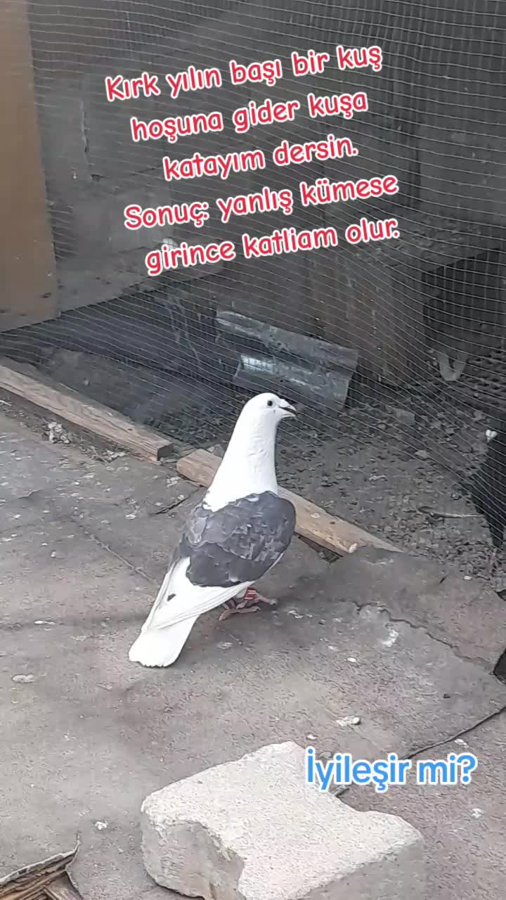 @Ertuğrul&Alparslan(Doktor)