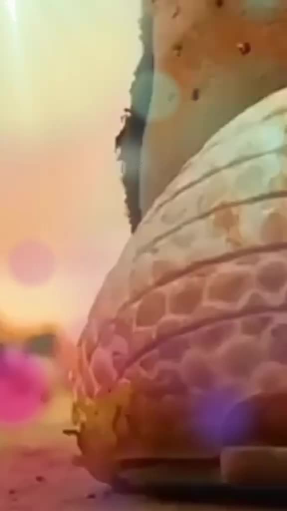 @&radic;&icirc;J&atilde;Y &szlig;H&ucirc;r&icirc;y&atilde;