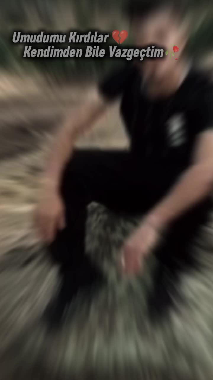 @🕊️