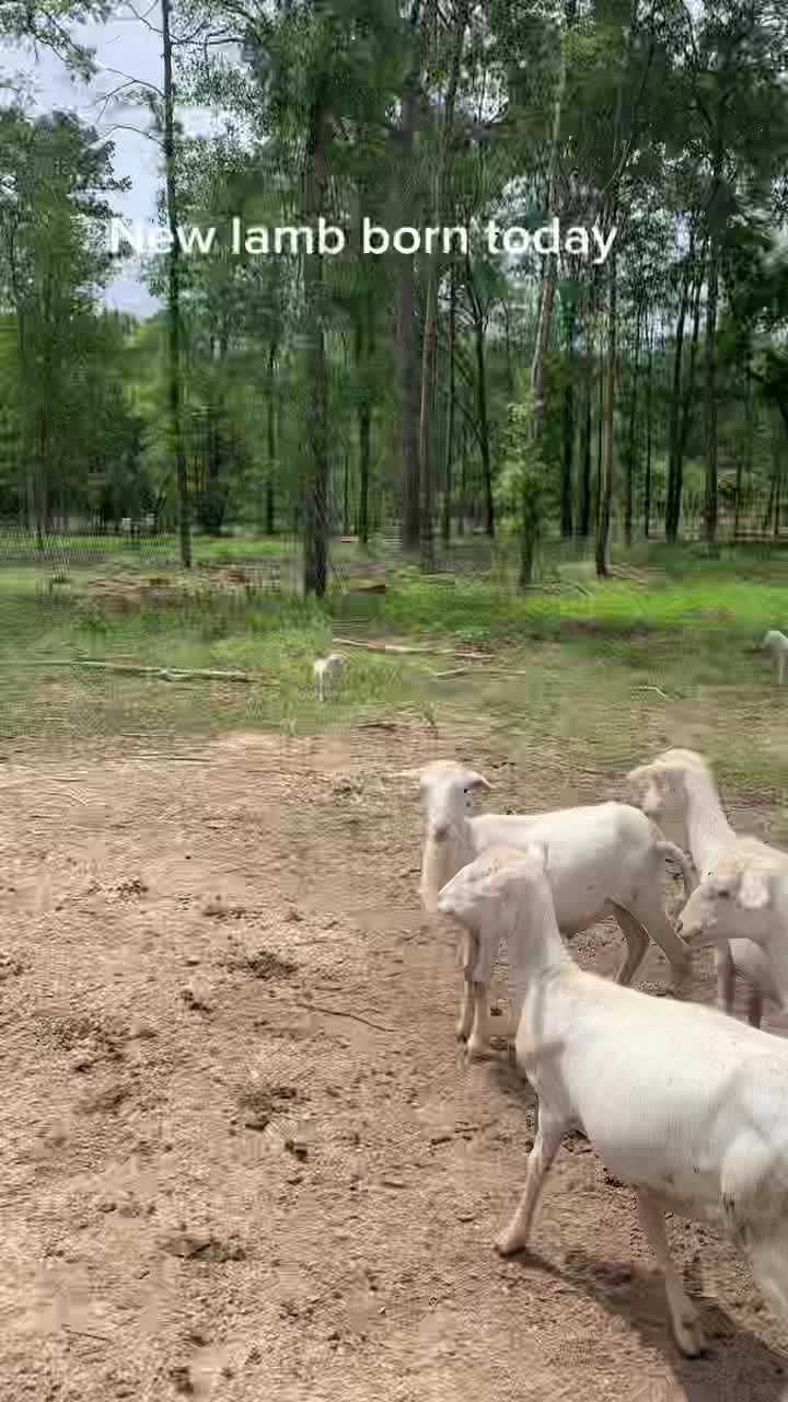 @Total_Farm