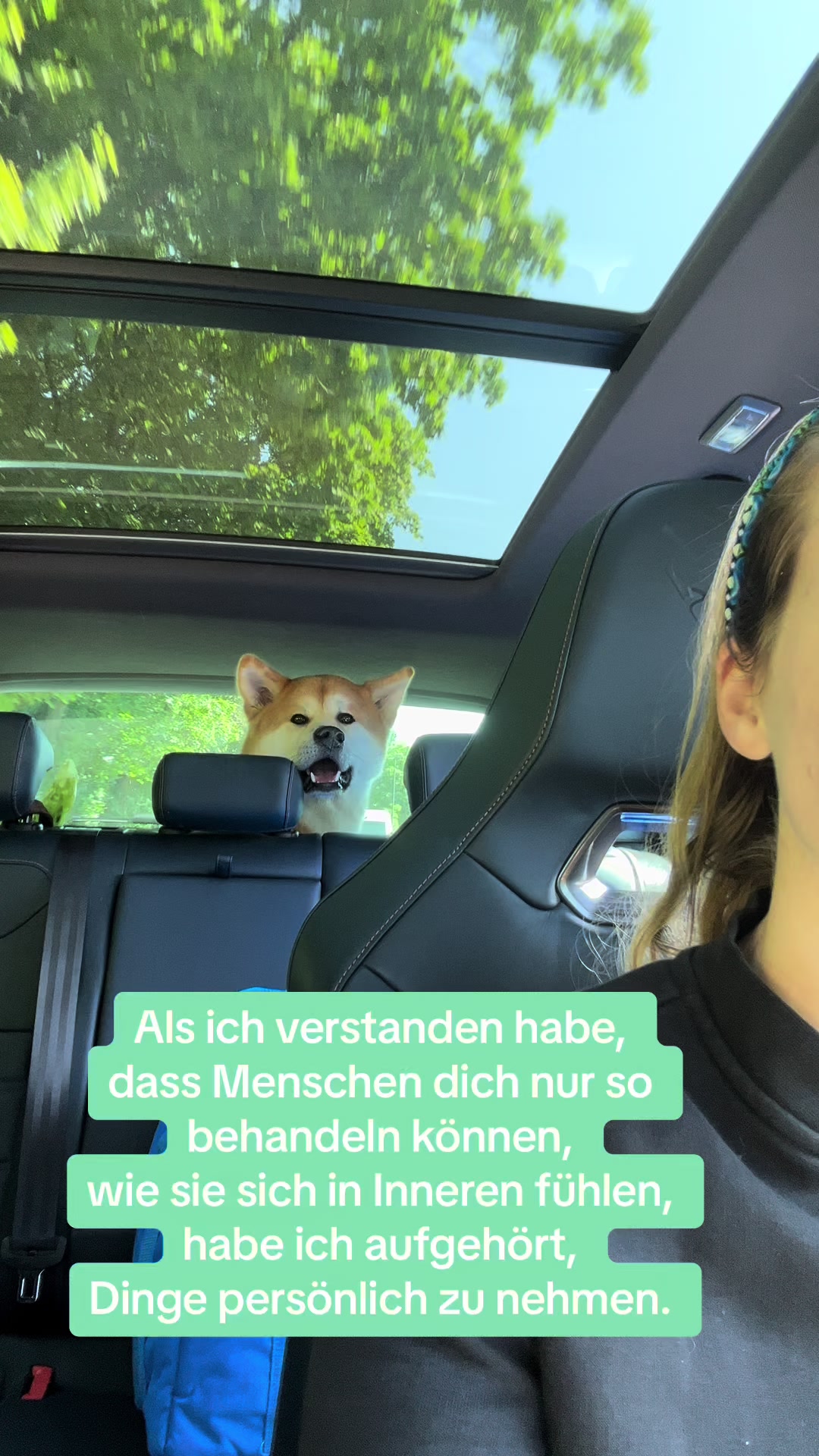 @haushaltsliebe