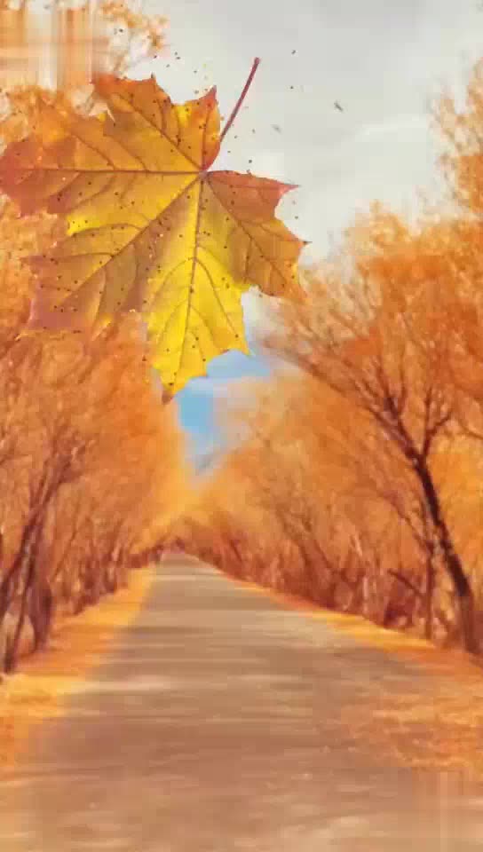 @Sudhanshu Singh