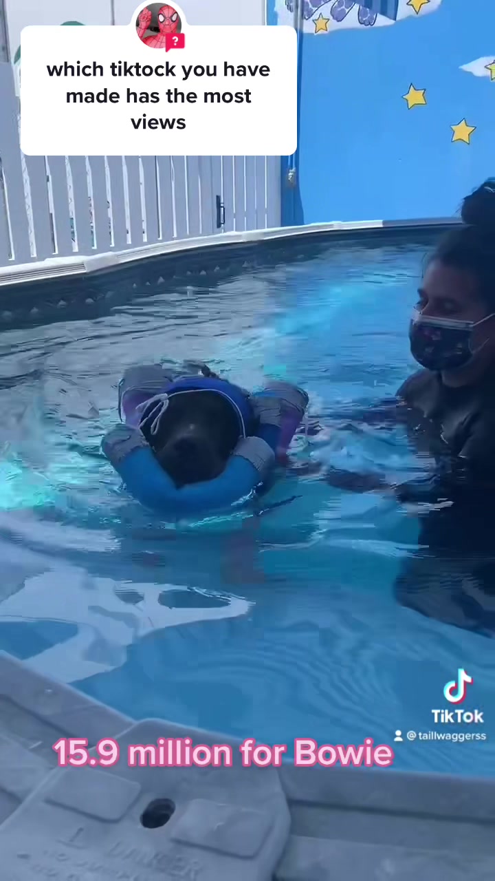 @K9 Massage & Hydrofitness