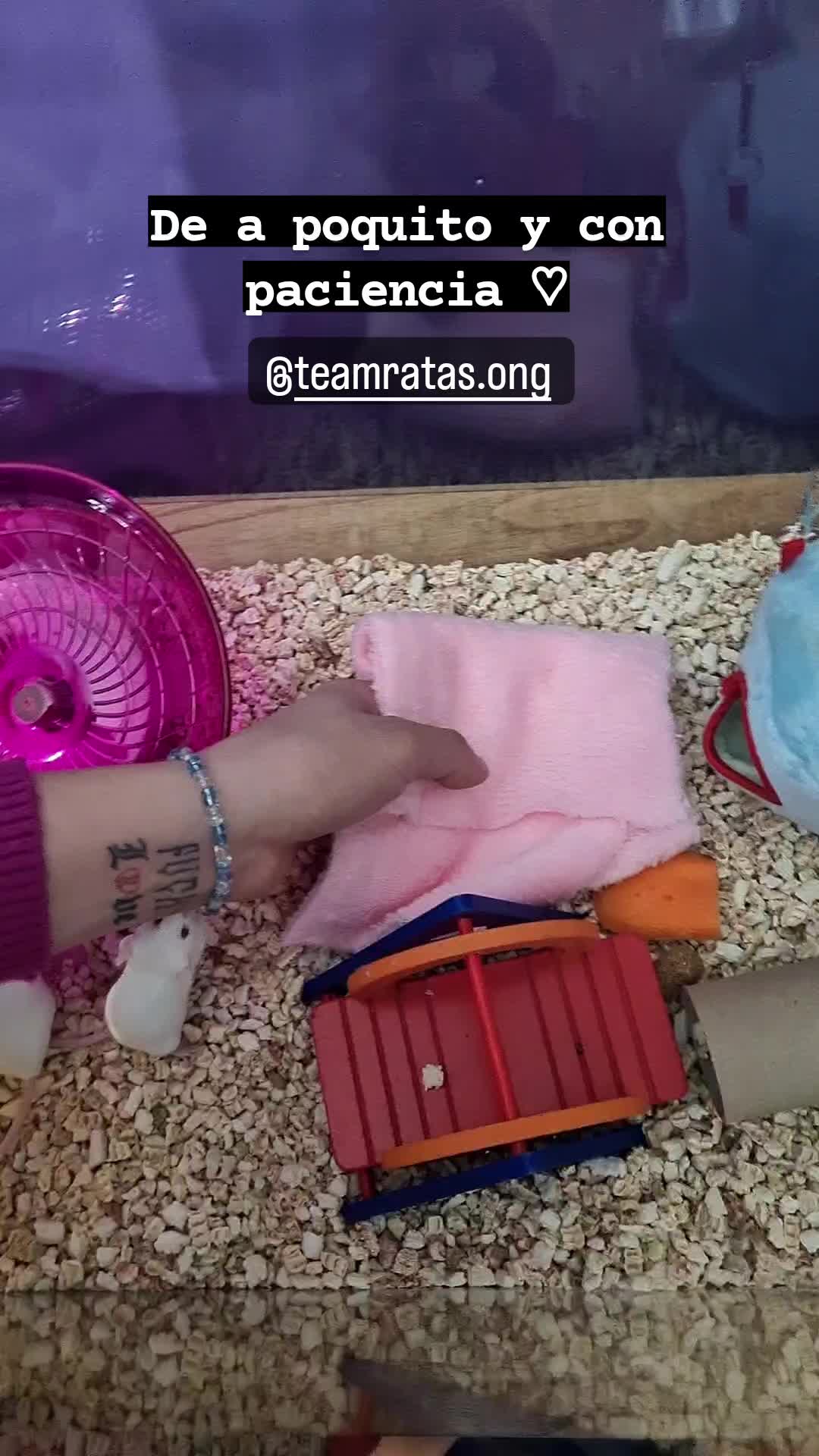 @aariaanniitaa
