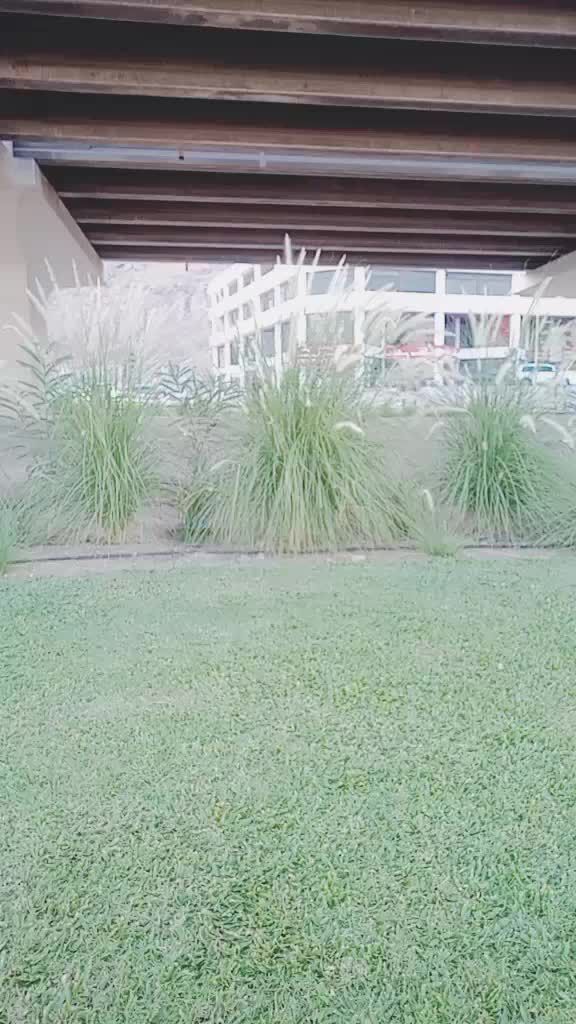 @user5715853611078