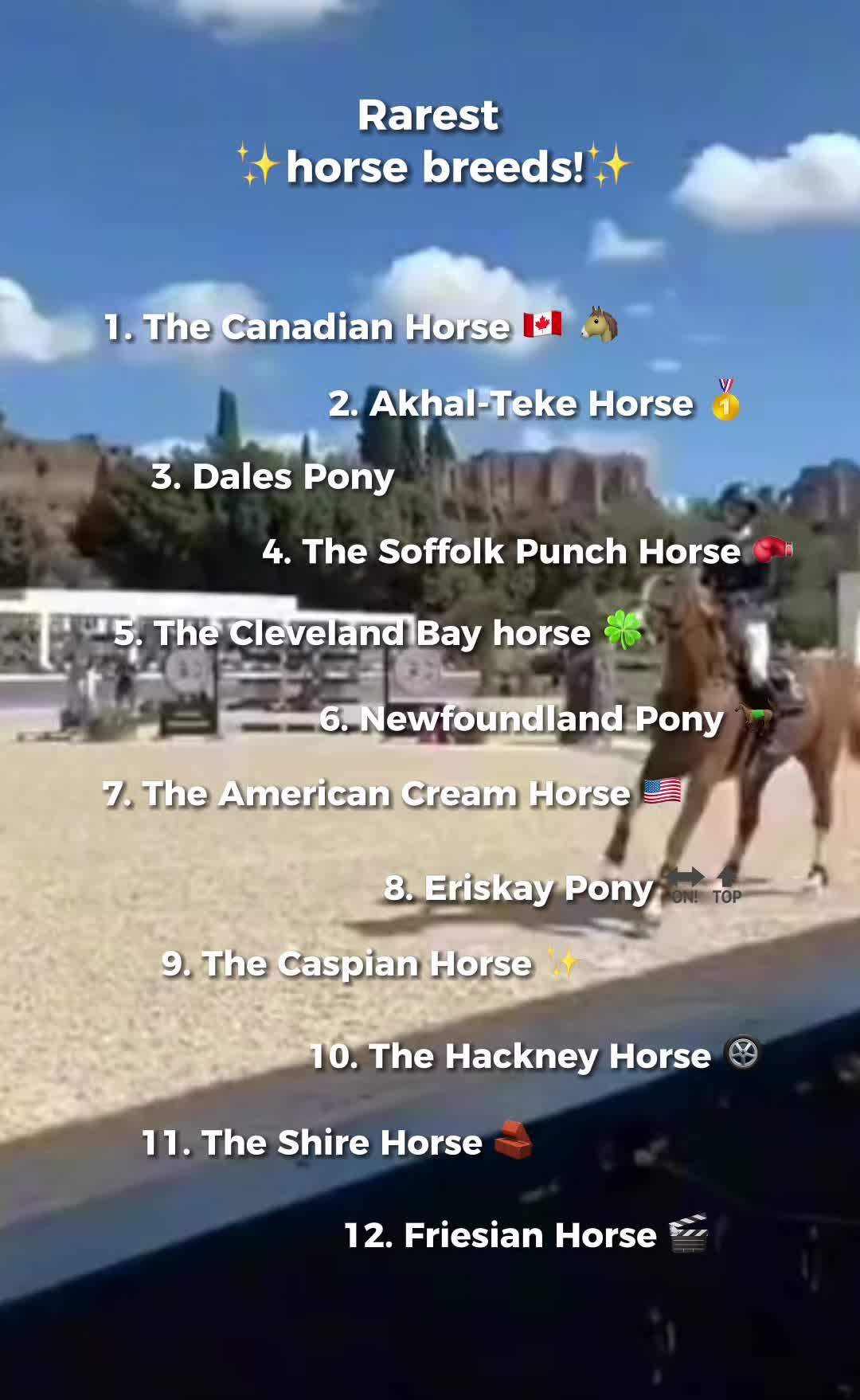 @🐴horses🐴